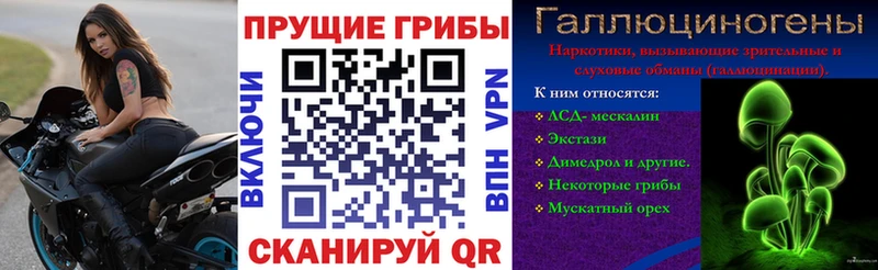 Псилоцибиновые грибы ЛСД  Нерехта 